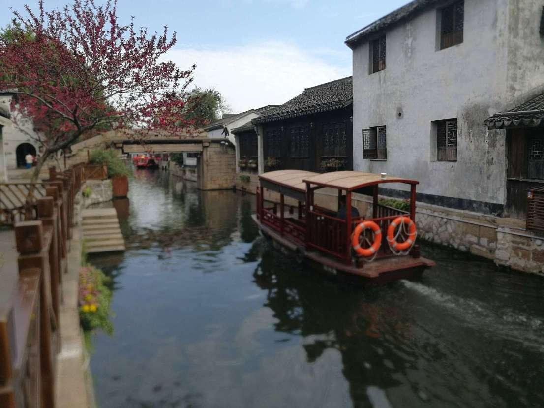 探寻酥饼应该怎么做?-尽享知识星球平台的独特魅力